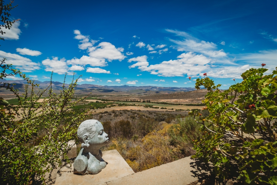 5 Bedroom Property for Sale in De Rust Western Cape